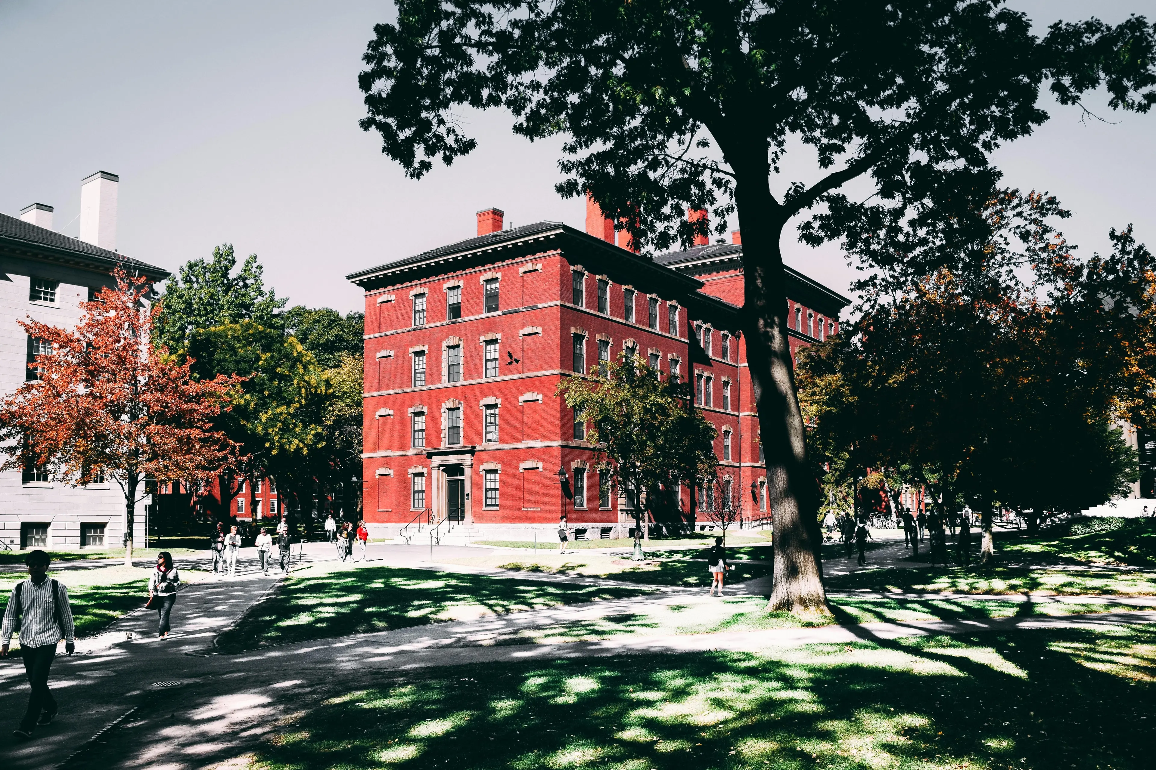 Harvard ancora nel mirino di\u00A0Trump: un colpo simbolico al cuore pulsante dell’America colta e progressista\n