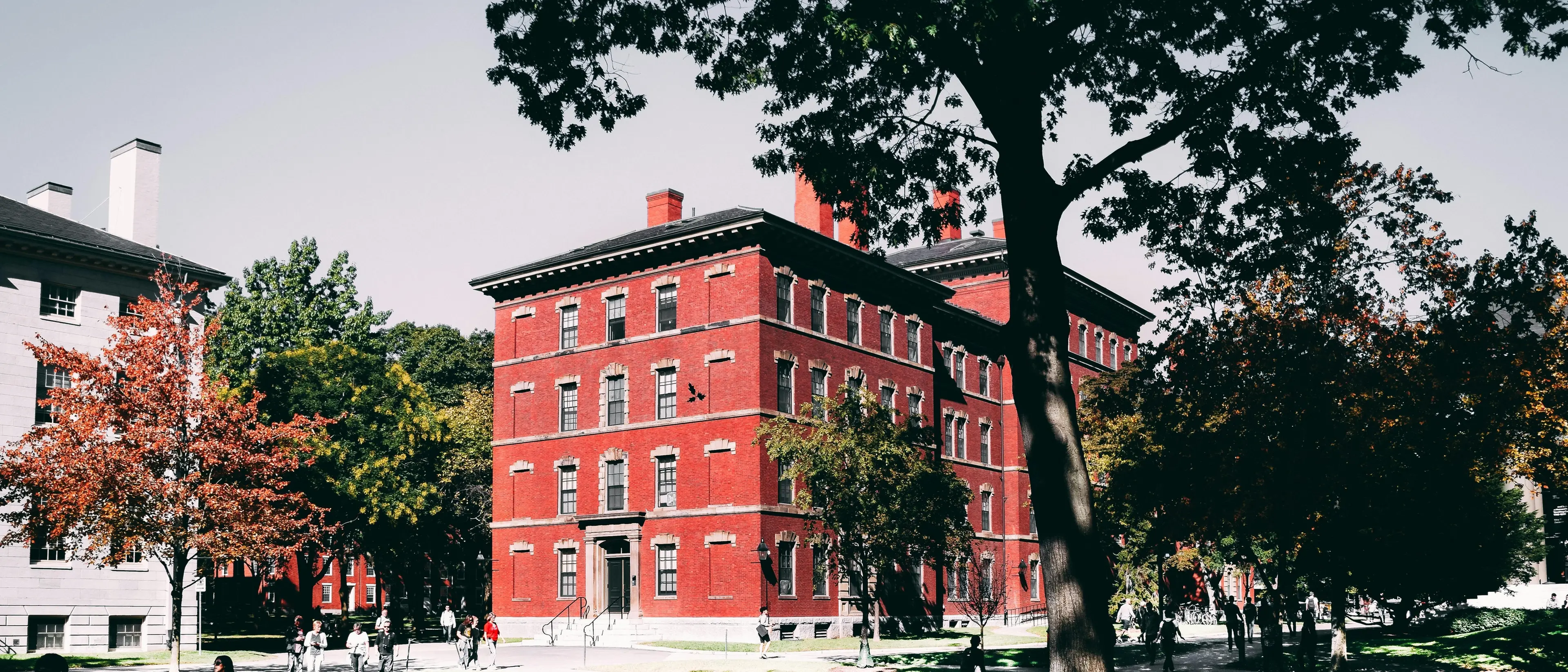 Harvard ancora nel mirino di\u00A0Trump: un colpo simbolico al cuore pulsante dell’America colta e progressista\n