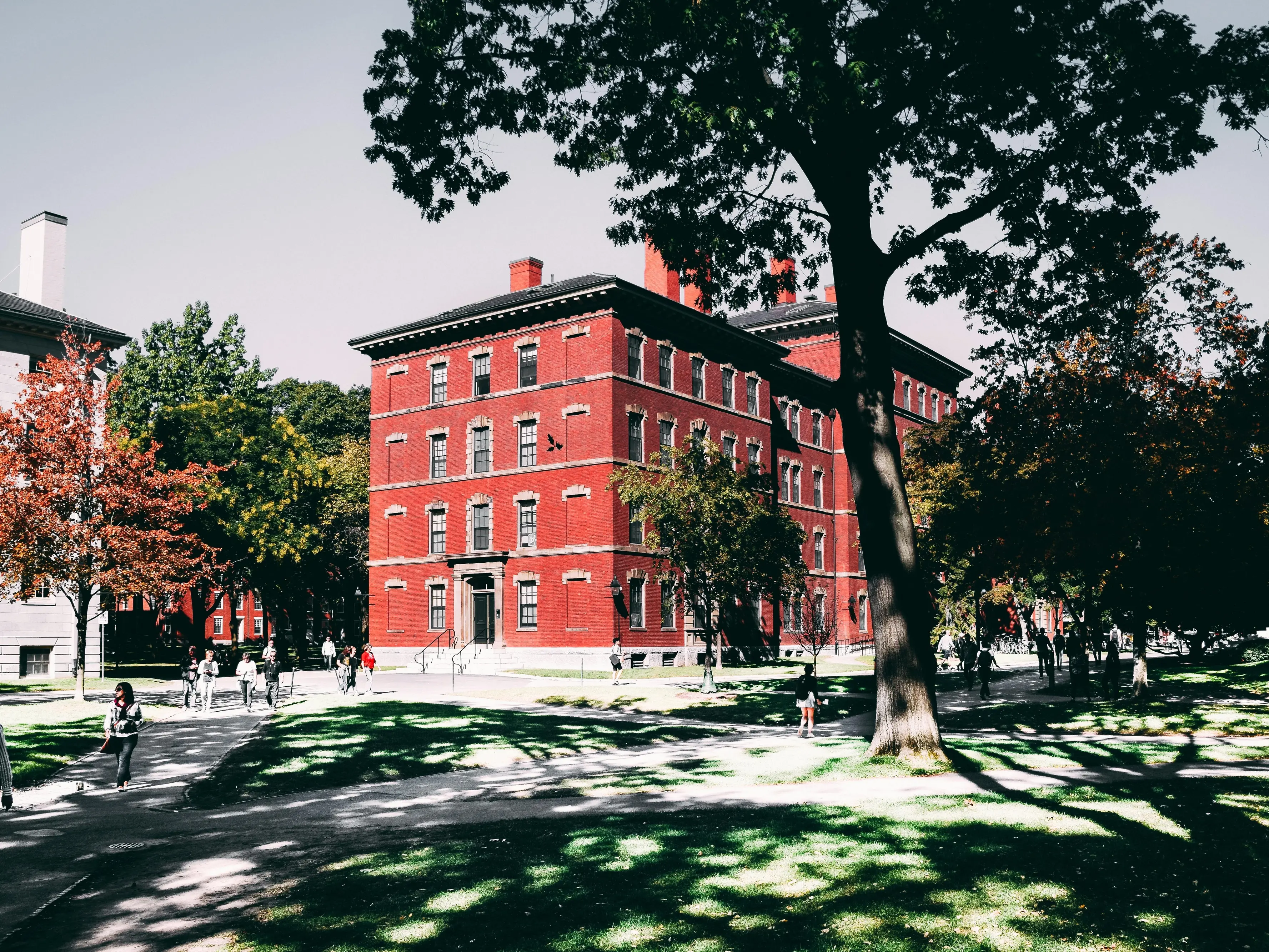 Harvard ancora nel mirino di Trump: un colpo simbolico al cuore pulsante dell’America colta e progressista