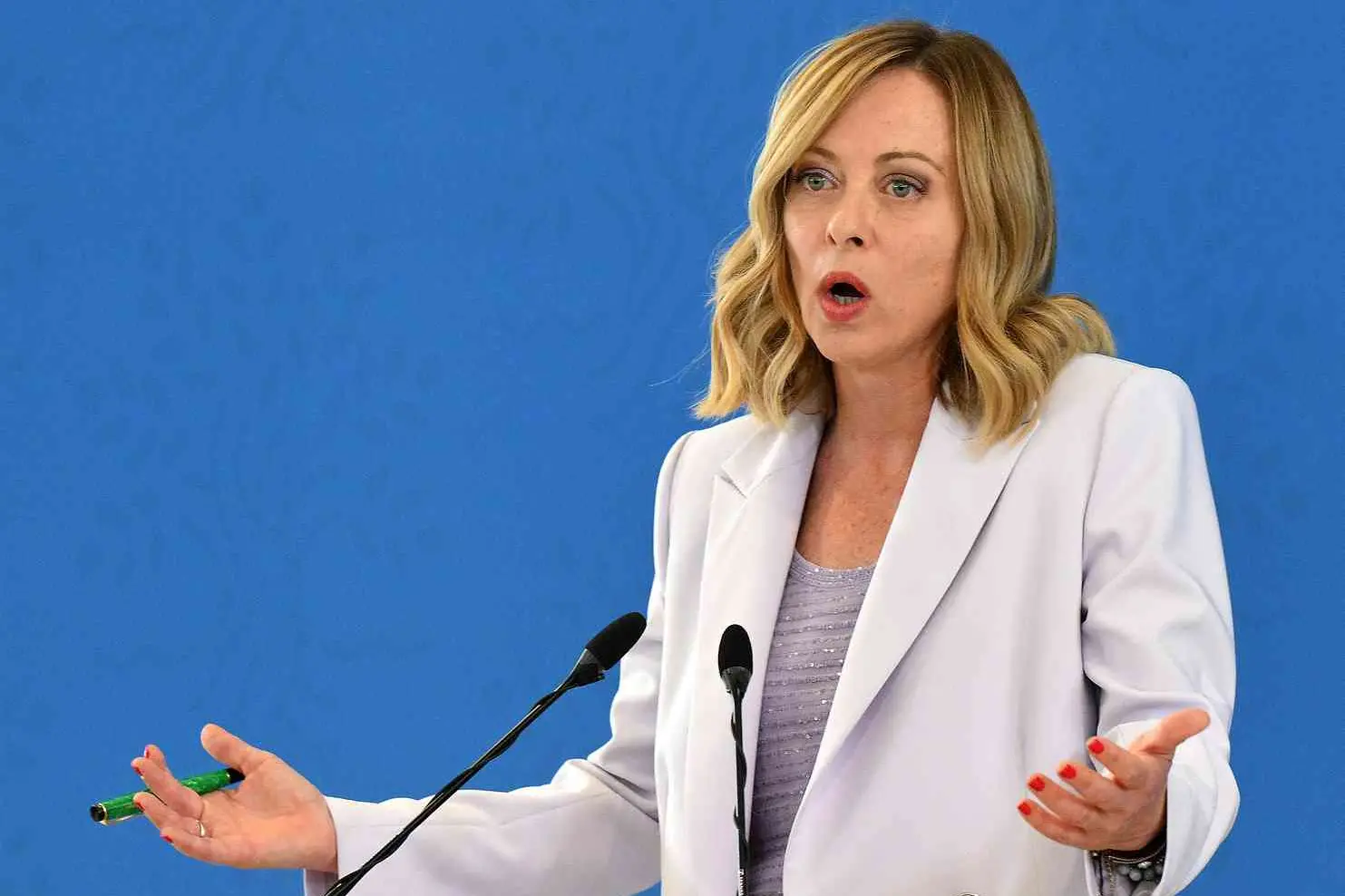 <p>La premier Giorgia Meloni</p>\\n