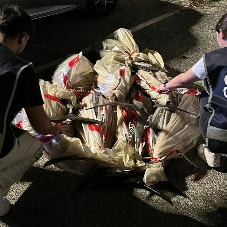 Pesca illegale, a Vibo Marina sequestrati tre quintali di tonno rosso\n