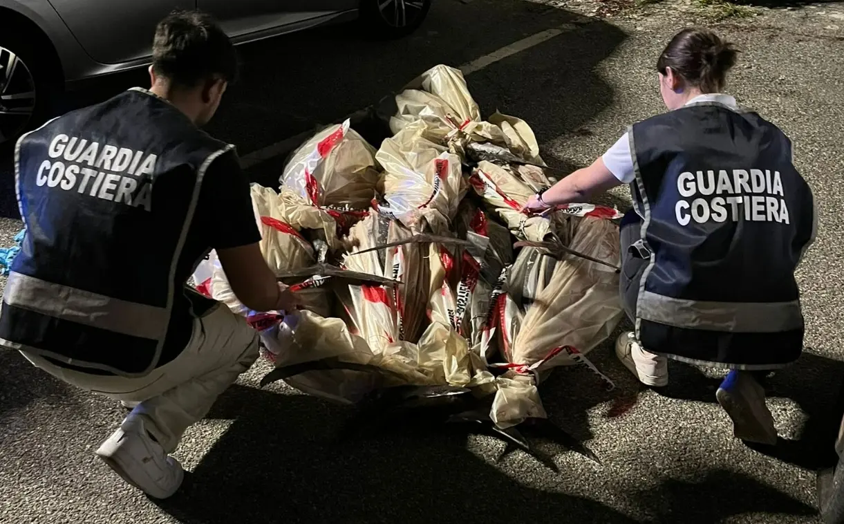 Pesca illegale, a Vibo Marina sequestrati tre quintali di tonno rosso\n