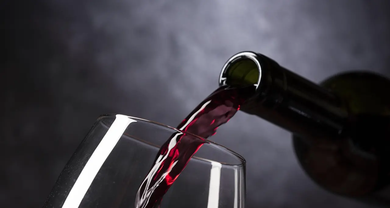 Merano Wine Festival a Cirò, l’assessore Gallo:\u00A0«Continuiamo a costruire una nuova narrazione della Calabria»\n