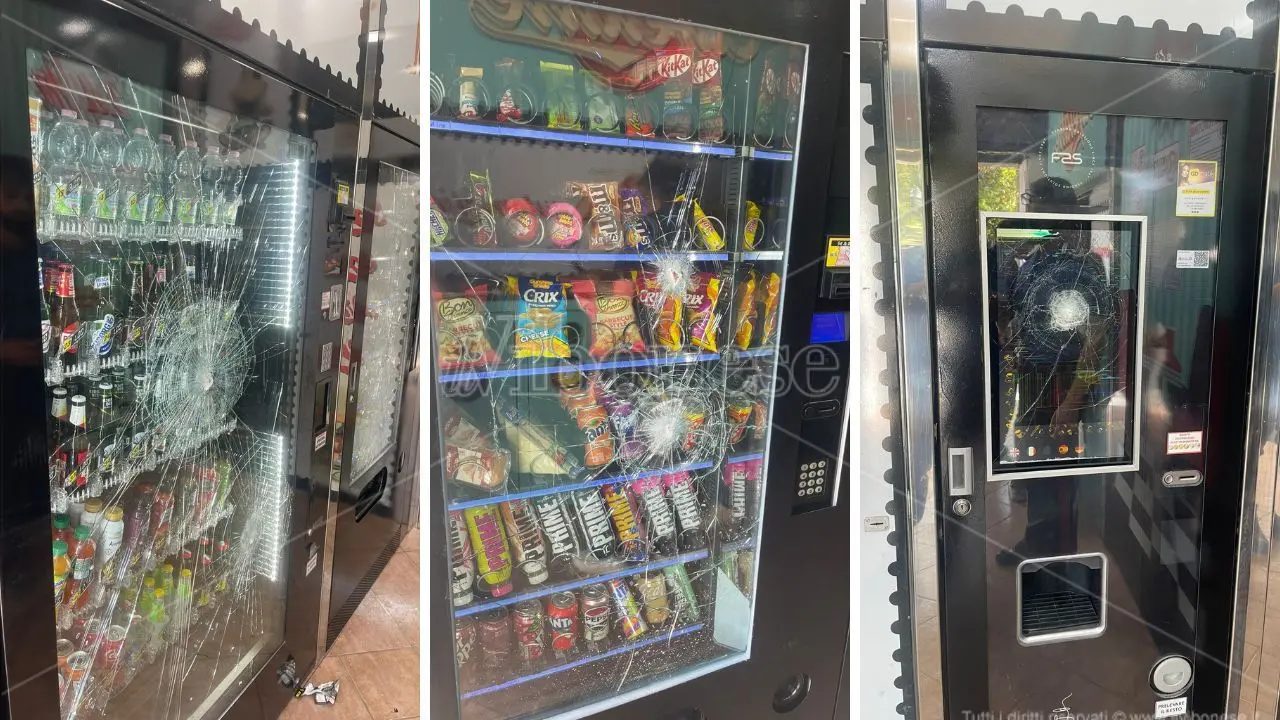 Mileto, sfasciano a martellate un negozio appena inaugurato ma il titolare non si arrende: «Riparo e riapro»\n