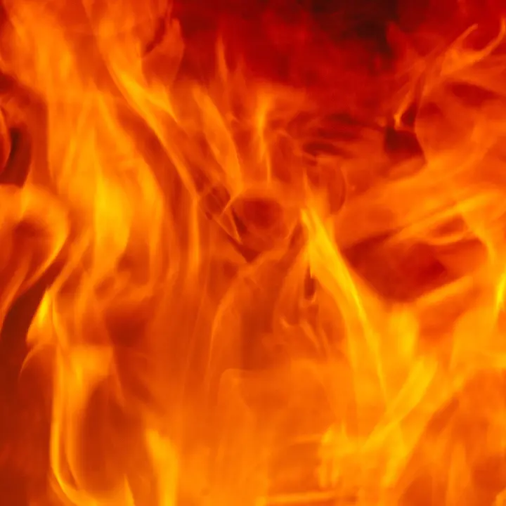 Vasto incendio nei terreni del padre dell’assessore di Vibo Marco Talarico: indagano i carabinieri