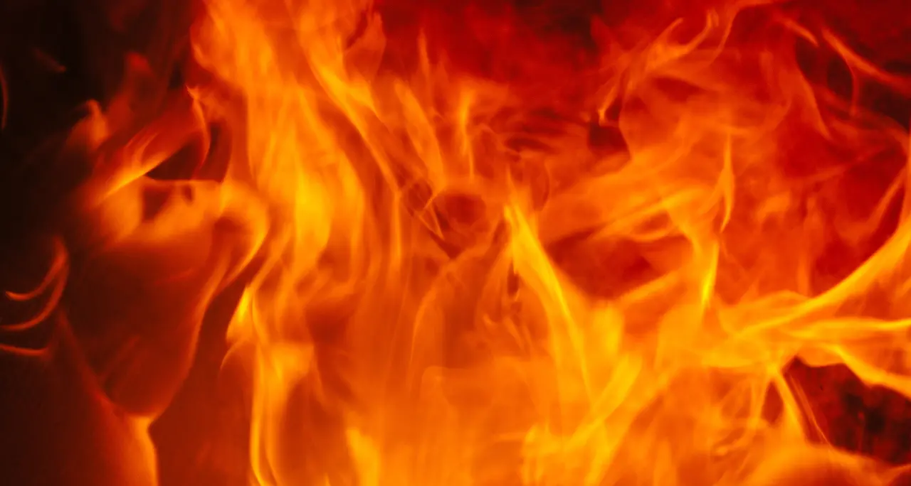 Vasto incendio nei terreni del padre dell’assessore di Vibo Marco Talarico: indagano i carabinieri