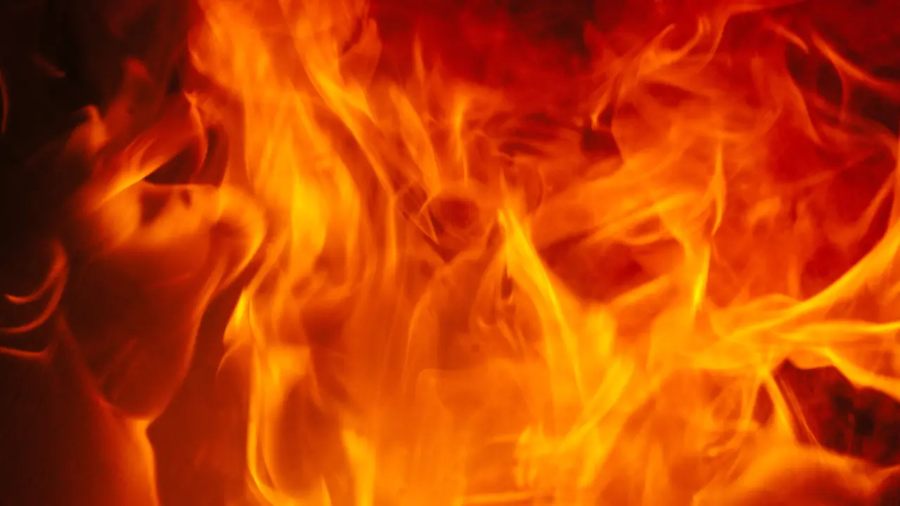 Vasto incendio nei terreni del padre dell’assessore di Vibo Marco Talarico: indagano i carabinieri