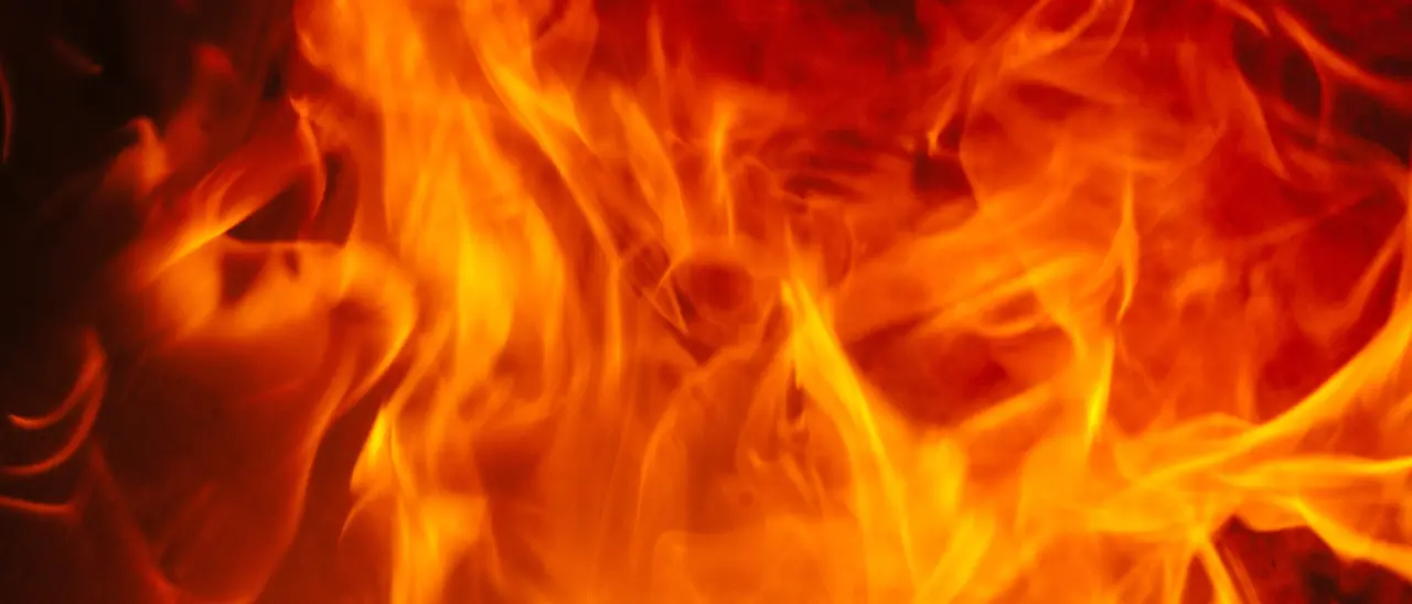 Vasto incendio nei terreni del padre dell’assessore di Vibo Marco Talarico: indagano i carabinieri