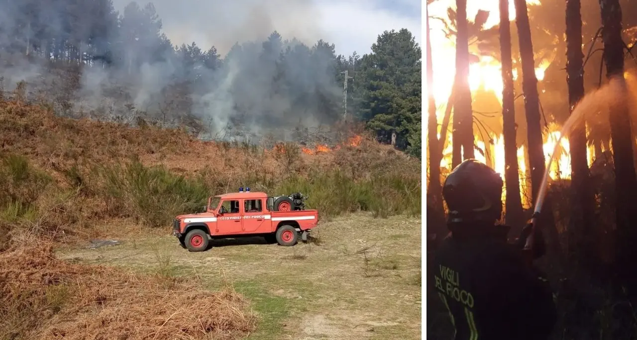 Primi caldi, primi incendi in Calabria: 55 interventi dei vigili del fuoco su tutta la regione. A Cassano evacuata una rsa\n