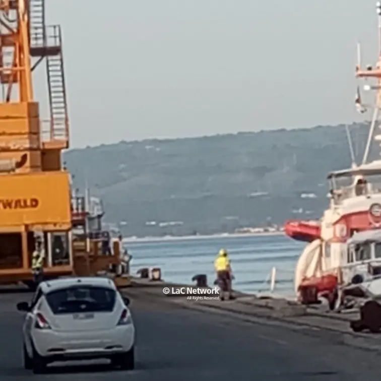 Nuovo sbarco in Calabria: accolti al porto di Vibo Marina 50 migranti\n