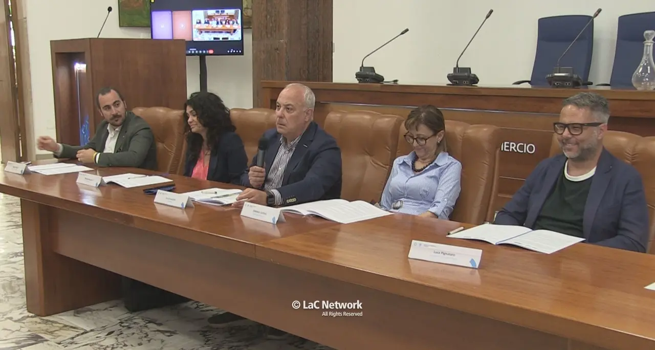 La Camera di Commercio di Cosenza promuove le buone pratiche dell’ospitalità in vista della Convention Mondiale\n