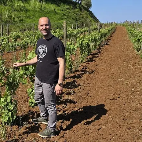 Quattro premi in un colpo solo: il trionfo calabrese delle Cantine Benvenuto a Radici del Sud\n