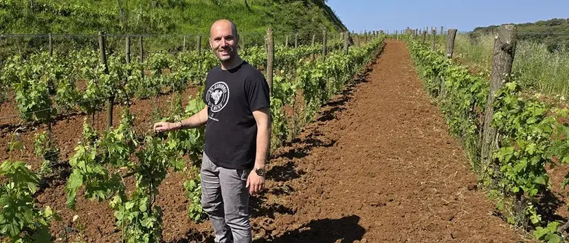 Quattro premi in un colpo solo: il trionfo calabrese delle Cantine Benvenuto a Radici del Sud\n