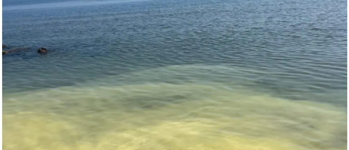 Lunghe strisce gialle in mare sul litorale ionico, ma è solo polline: l’Arpacal spiega il fenomeno\n