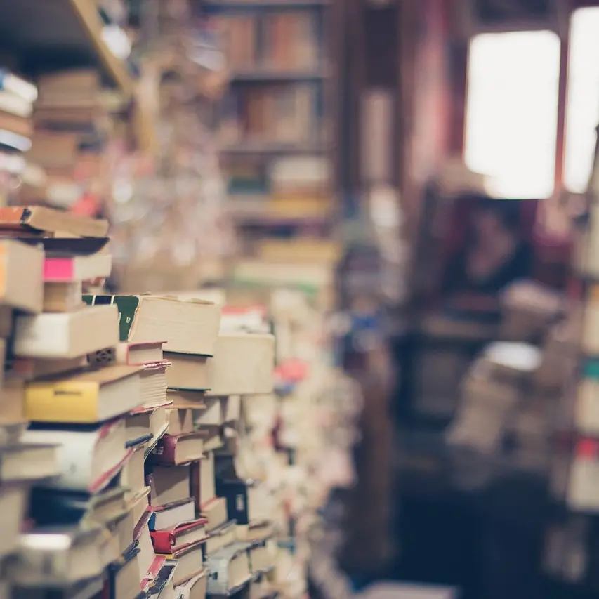 Capitale del libro 2026, ci sono anche Belvedere Marittimo e Squillace tra gli 11 comuni candidati\n
