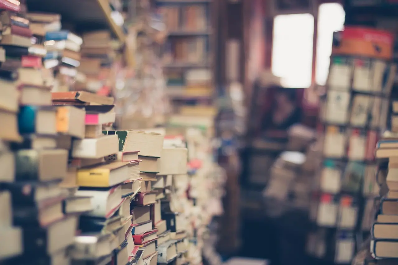 Capitale del libro 2026, ci sono anche Belvedere Marittimo e Squillace tra gli 11 comuni candidati\n