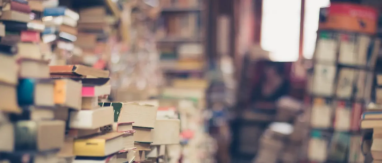 Capitale del libro 2026, ci sono anche Belvedere Marittimo e Squillace tra gli 11 comuni candidati\n