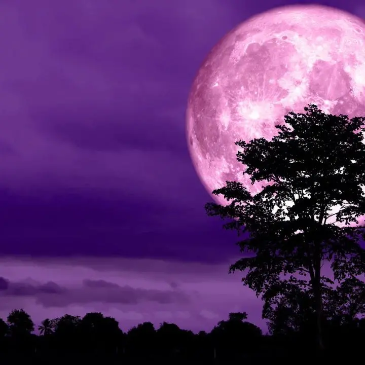Tutti col naso all’insù per la Luna delle Fragole, questa sera lo spettacolo nei cieli della Calabria\n