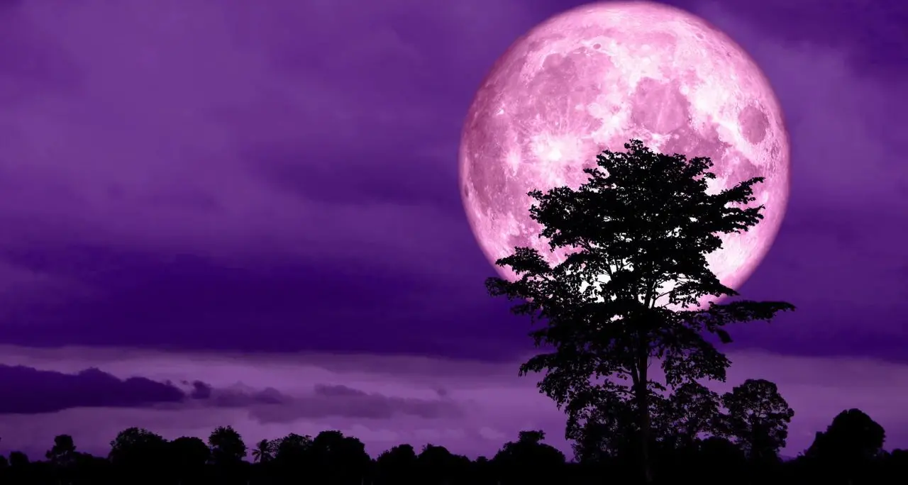 Tutti col naso all’insù per la Luna delle Fragole, questa sera lo spettacolo nei cieli della Calabria\n
