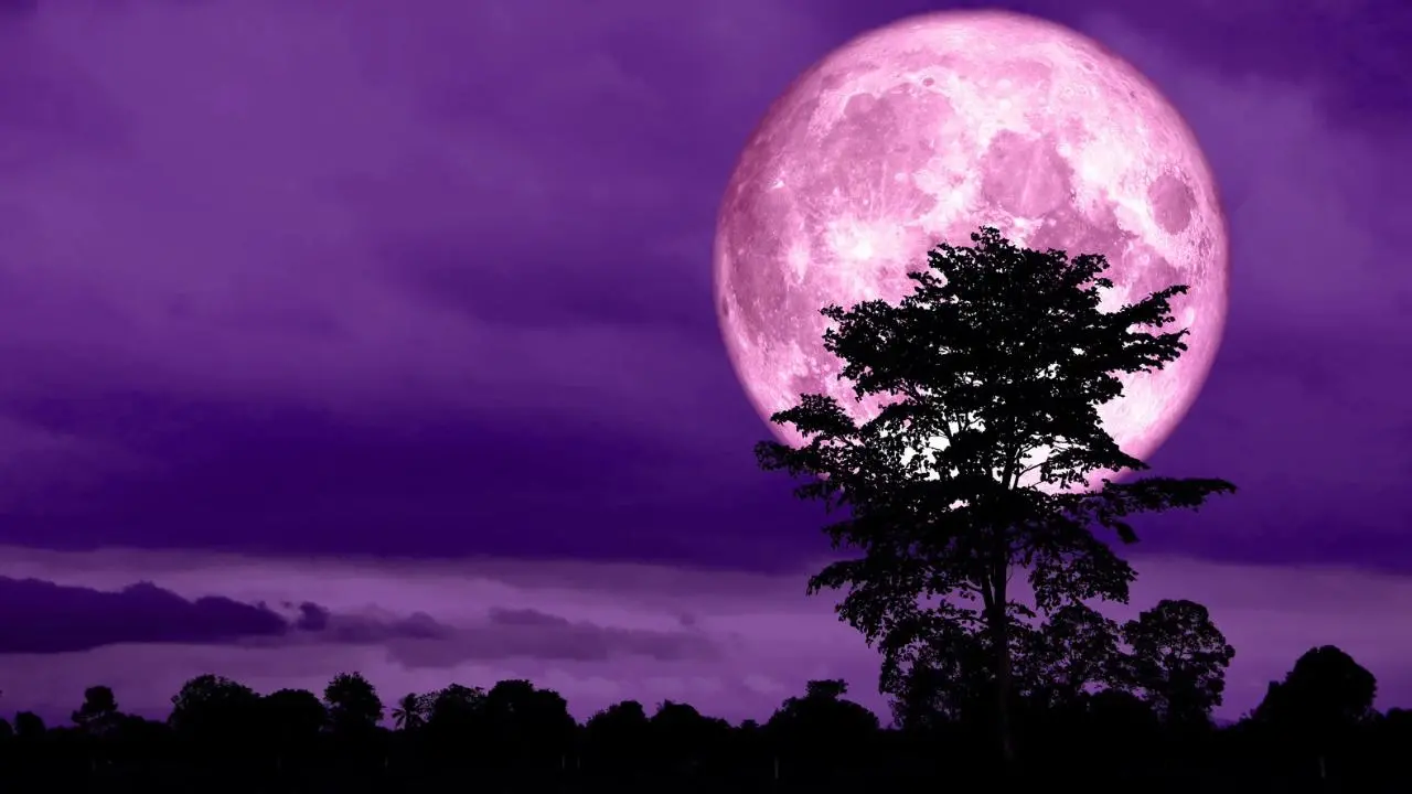 Tutti col naso all’insù per la Luna delle Fragole, questa sera lo spettacolo nei cieli della Calabria\n