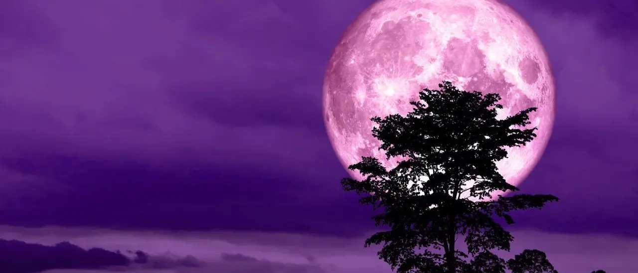 Tutti col naso all’insù per la Luna delle Fragole, questa sera lo spettacolo nei cieli della Calabria\n