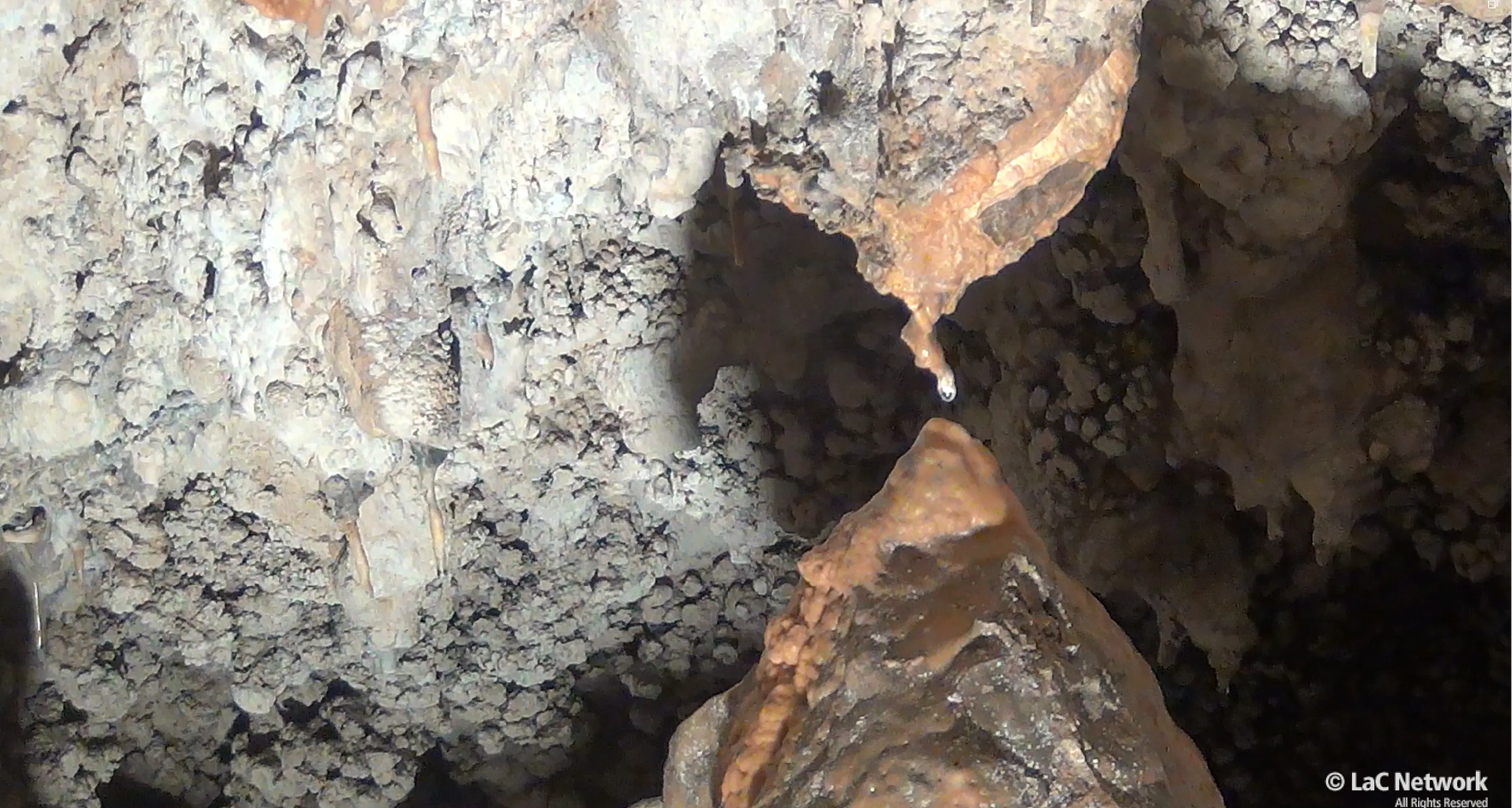 A Cassano la meraviglia delle Grotte di Sant’Angelo al chiaro di luna: ora si punta ad aperture serali ogni mese