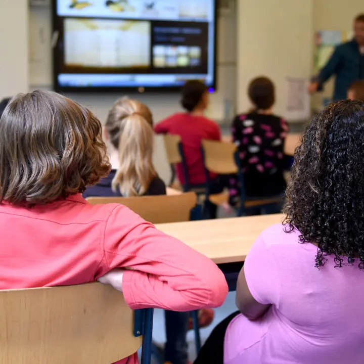 La scuola dimenticata, al Sud un sistema al collasso: viaggio nel cuore di una disuguaglianza italiana\n