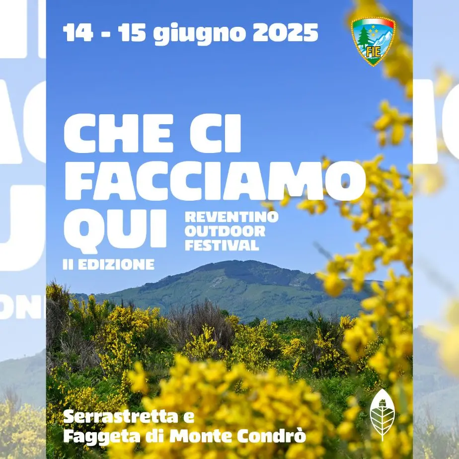 Che ci facciamo qui? Torna l’outdoor festival del Reventino, due giorni nella magnifica faggeta di Monte Condrò\n