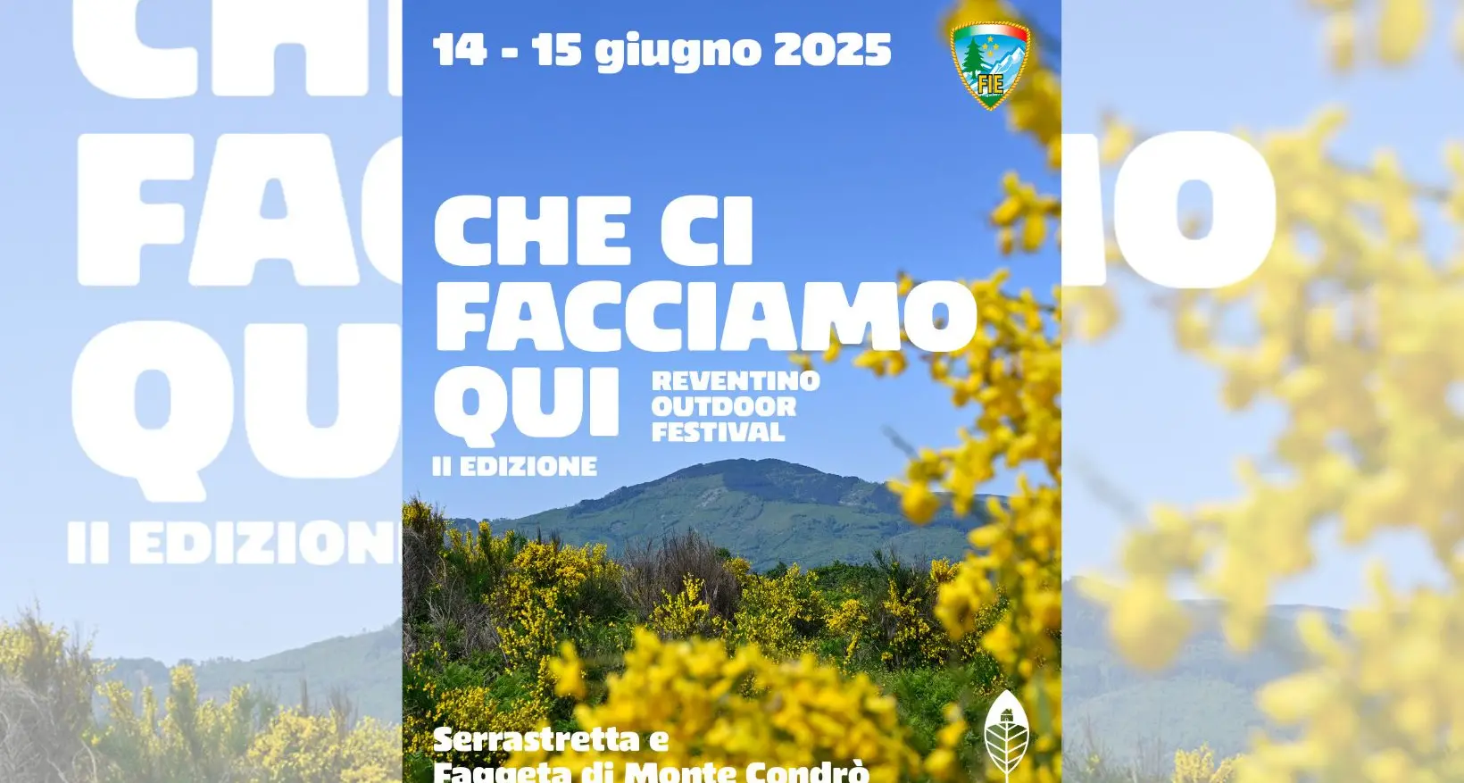 Che ci facciamo qui? Torna l’outdoor festival del Reventino, due giorni nella magnifica faggeta di Monte Condrò\n