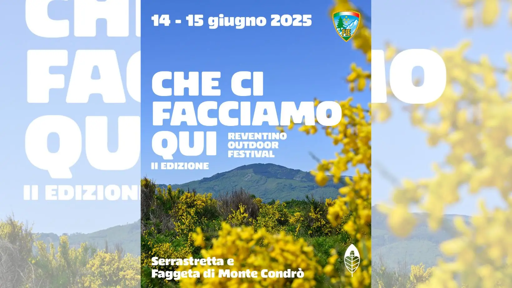 Che ci facciamo qui? Torna l’outdoor festival del Reventino, due giorni nella magnifica faggeta di Monte Condrò\n