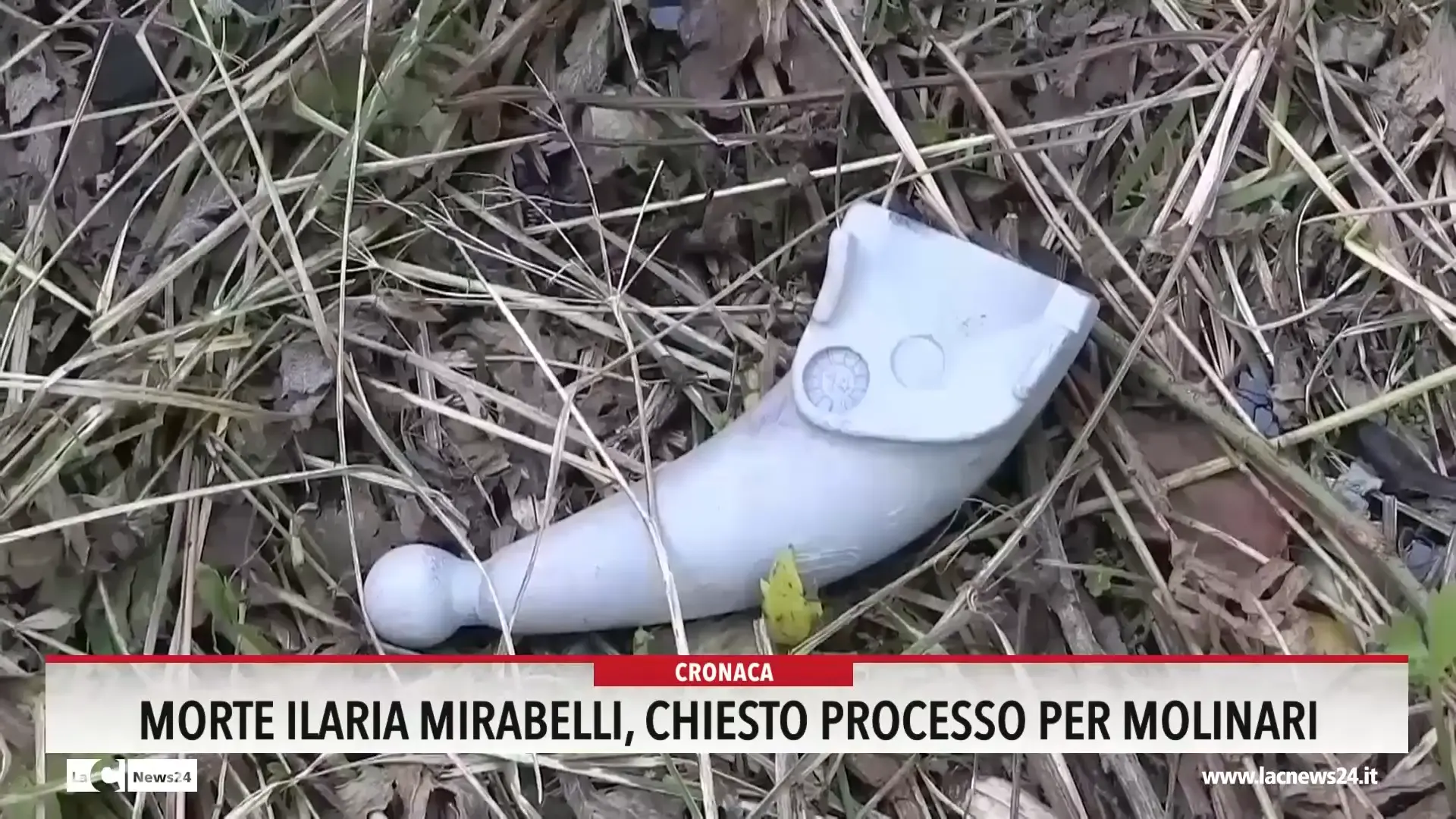 Morte Mirabelli, chiesto il processo per Molinari