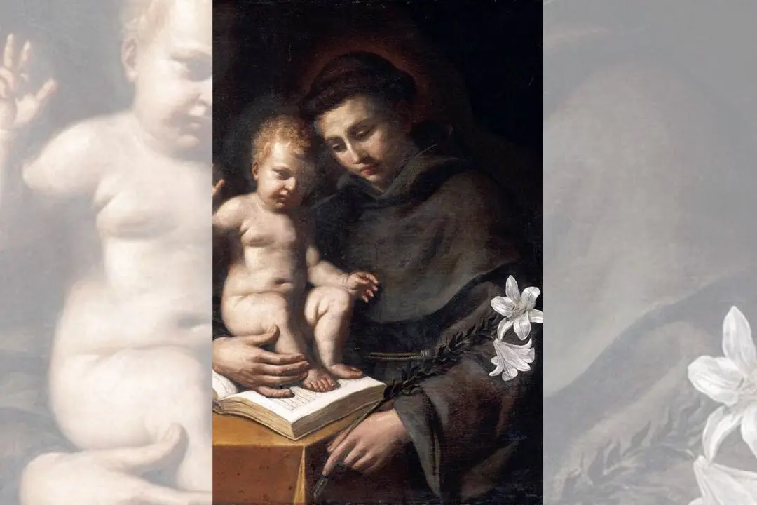 Sant\\'Antonio bambino (Guercino)