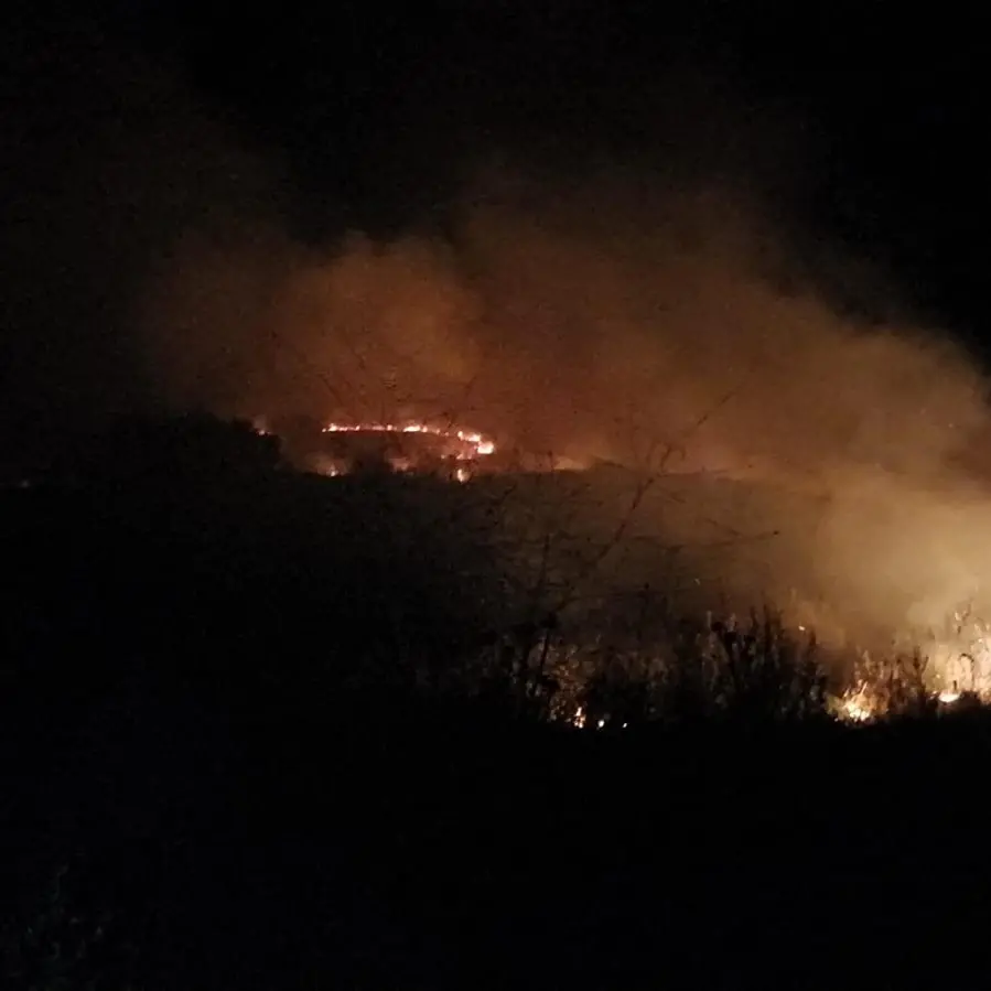 Calopezzati, vasto incendio in un terreno vicino ad alcune aziende agricole: la guerra dei pascoli tra le ipotesi\n