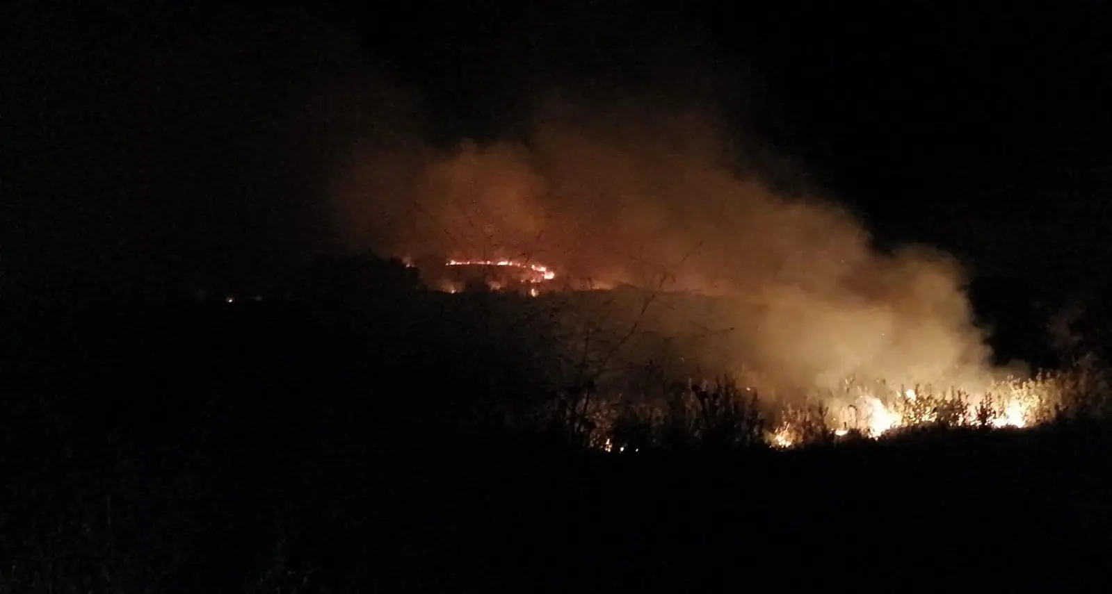 Calopezzati, vasto incendio in un terreno vicino ad alcune aziende agricole: la guerra dei pascoli tra le ipotesi\n