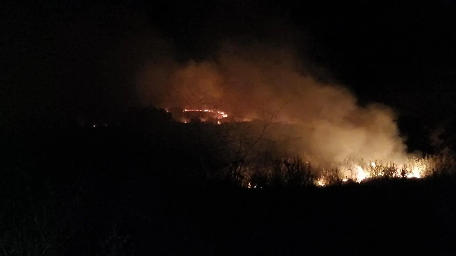 Calopezzati, vasto incendio in un terreno vicino ad alcune aziende agricole: la guerra dei pascoli tra le ipotesi\n