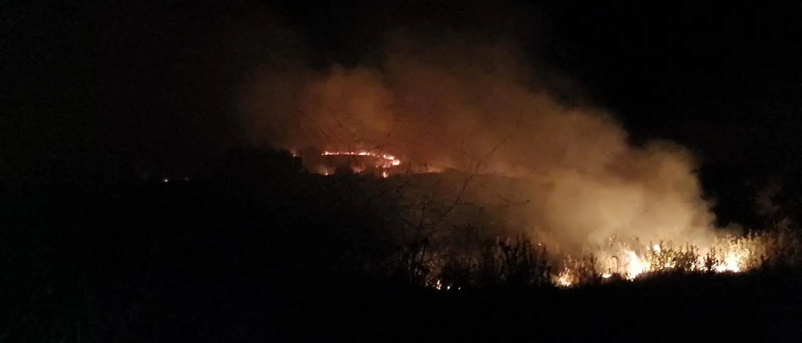 Calopezzati, vasto incendio in un terreno vicino ad alcune aziende agricole: la guerra dei pascoli tra le ipotesi\n