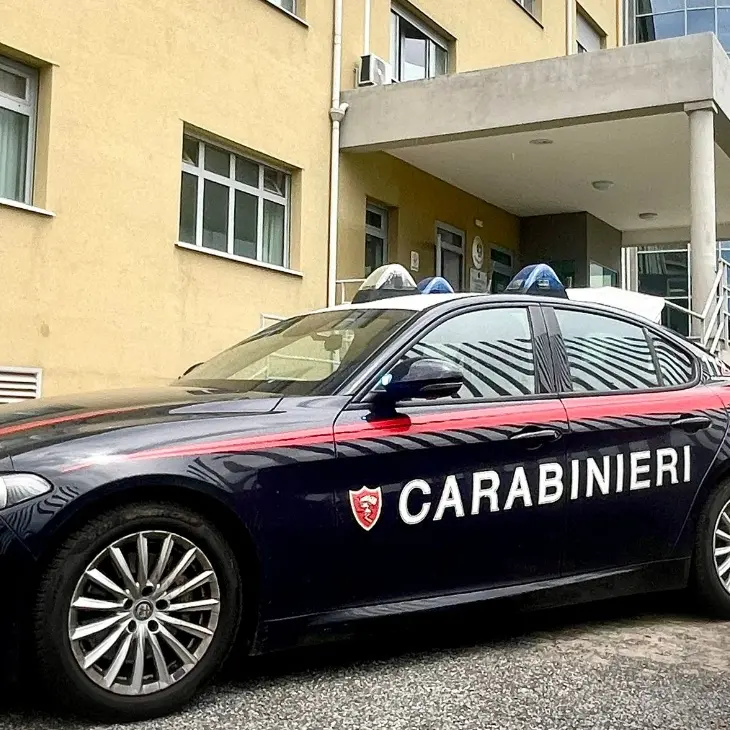 Beccato mentre cerca di rubare un’auto a Nicastro, arrestato 64enne\n