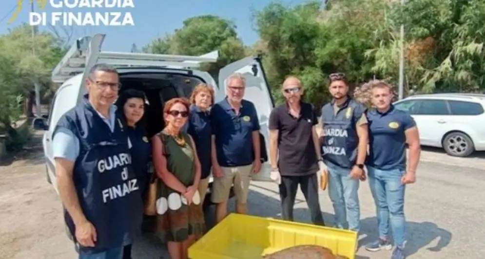 Tartaruga ferita recuperata su una spiaggia nel Vibonese e trasferita nel Centro recupero di Montepaone\n