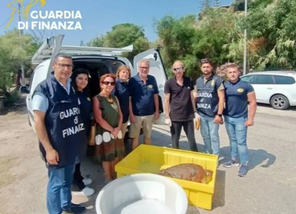 Tartaruga ferita recuperata su una spiaggia nel Vibonese e trasferita nel Centro recupero di Montepaone\n
