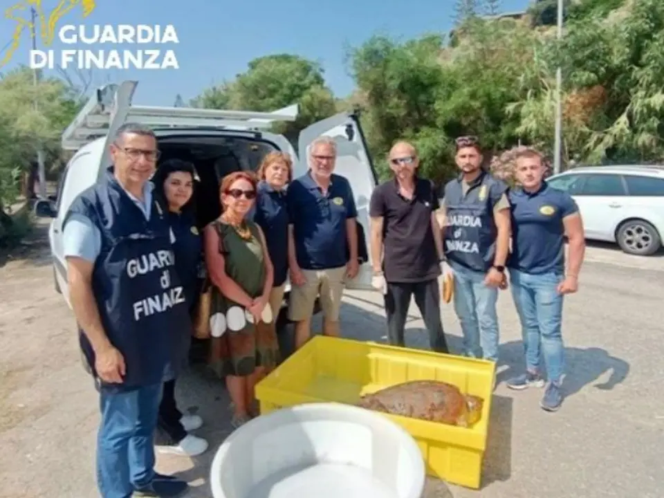 Tartaruga ferita recuperata su una spiaggia nel Vibonese e trasferita nel Centro recupero di Montepaone