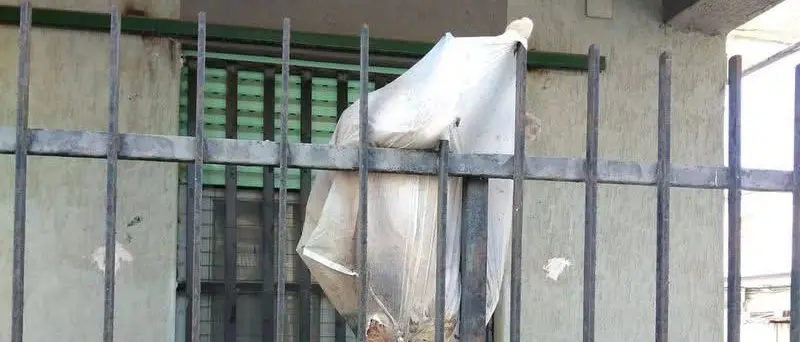 Orrore a Corigliano Rossano: cane ucciso, fatto a pezzi e mostrato come un trofeo. Animalisti sul piede di guerra\n