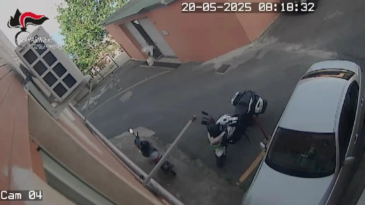 Infermiera professionale dell'ospedale di Paola denunciata per smaltimento illecito di rifiuti