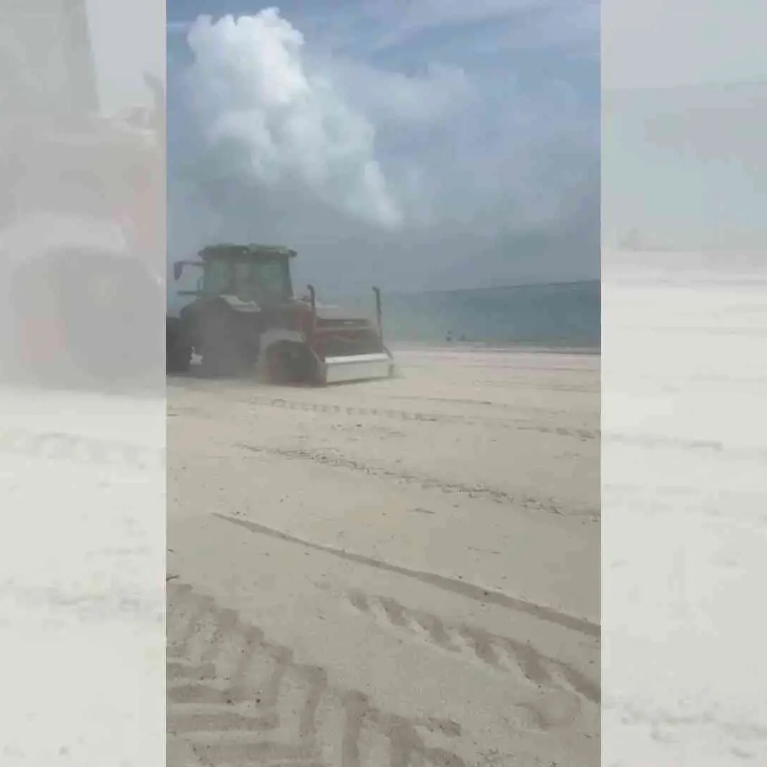 Ruspe sulle spiagge, gli ambientalisti insorgono:\u00A0«Nel Catanzarese distrutto il nido di una specie protetta»\n