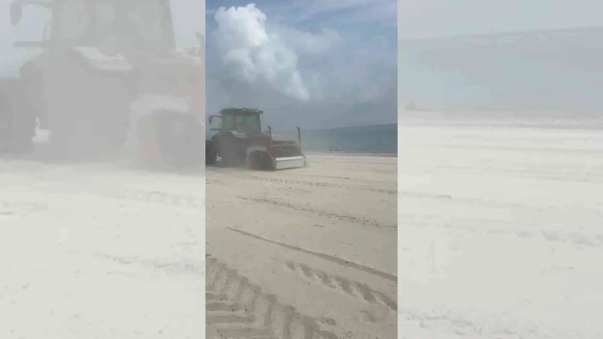 Ruspe sulle spiagge, gli ambientalisti insorgono:\u00A0«Nel Catanzarese distrutto il nido di una specie protetta»\n