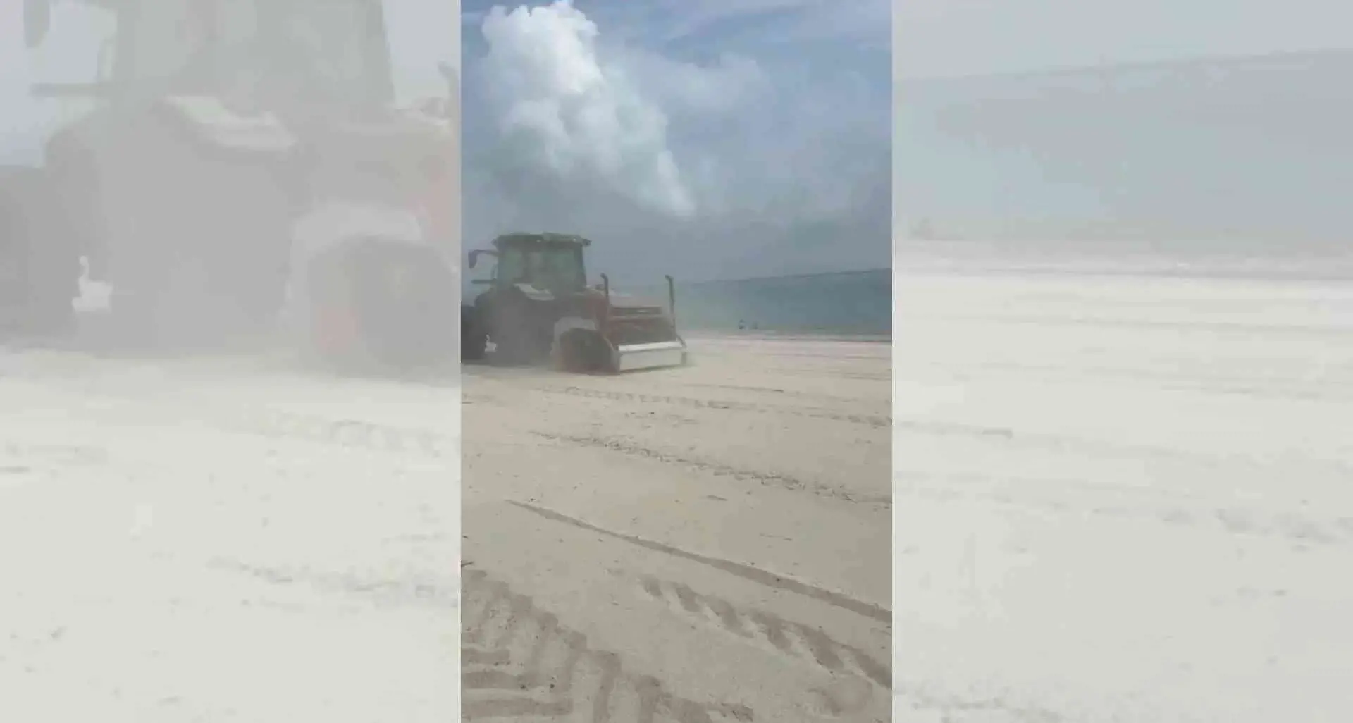Ruspe sulle spiagge, gli ambientalisti insorgono:\u00A0«Nel Catanzarese distrutto il nido di una specie protetta»\n