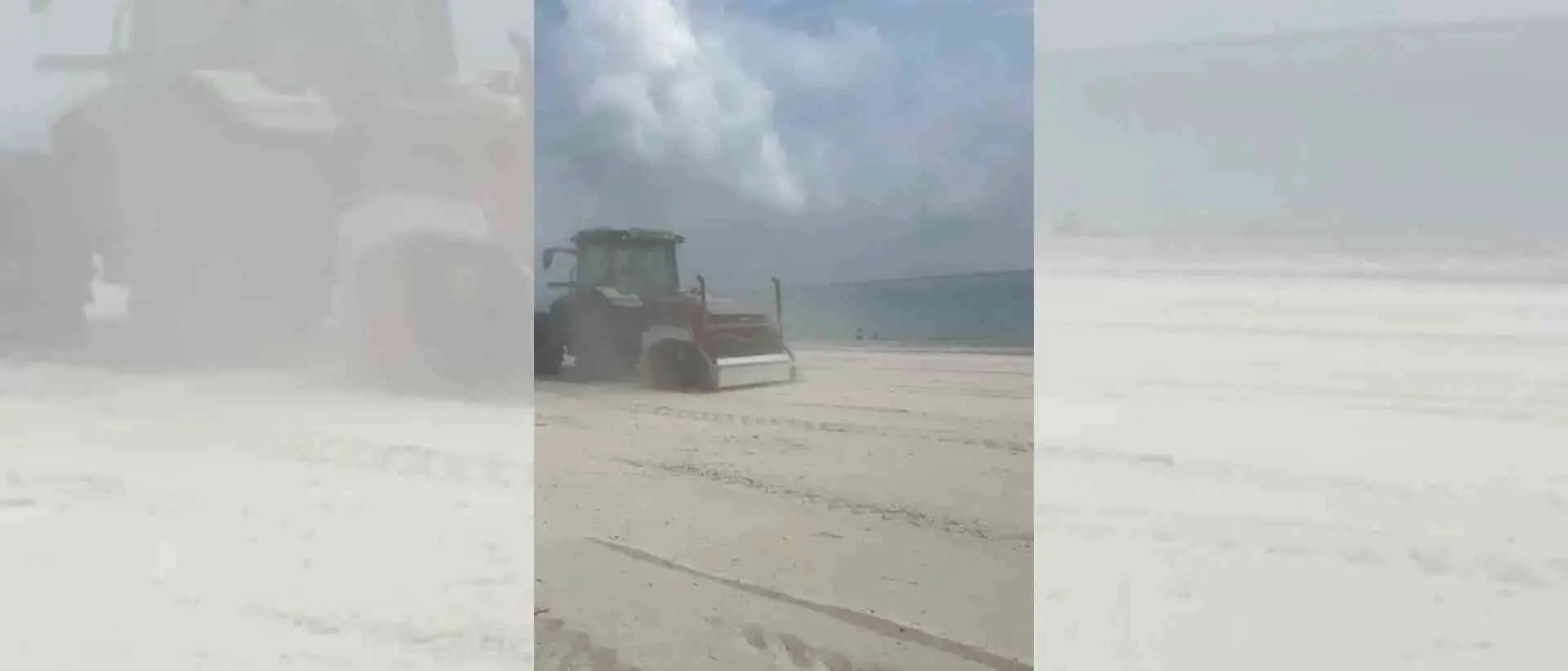 Ruspe sulle spiagge, gli ambientalisti insorgono:\u00A0«Nel Catanzarese distrutto il nido di una specie protetta»\n
