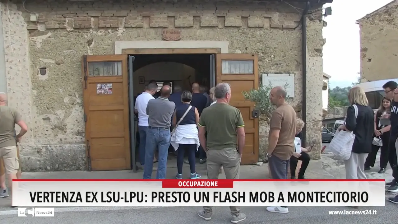 Vertenza ex lsu lpu: presto un flash mob a Montecitorio