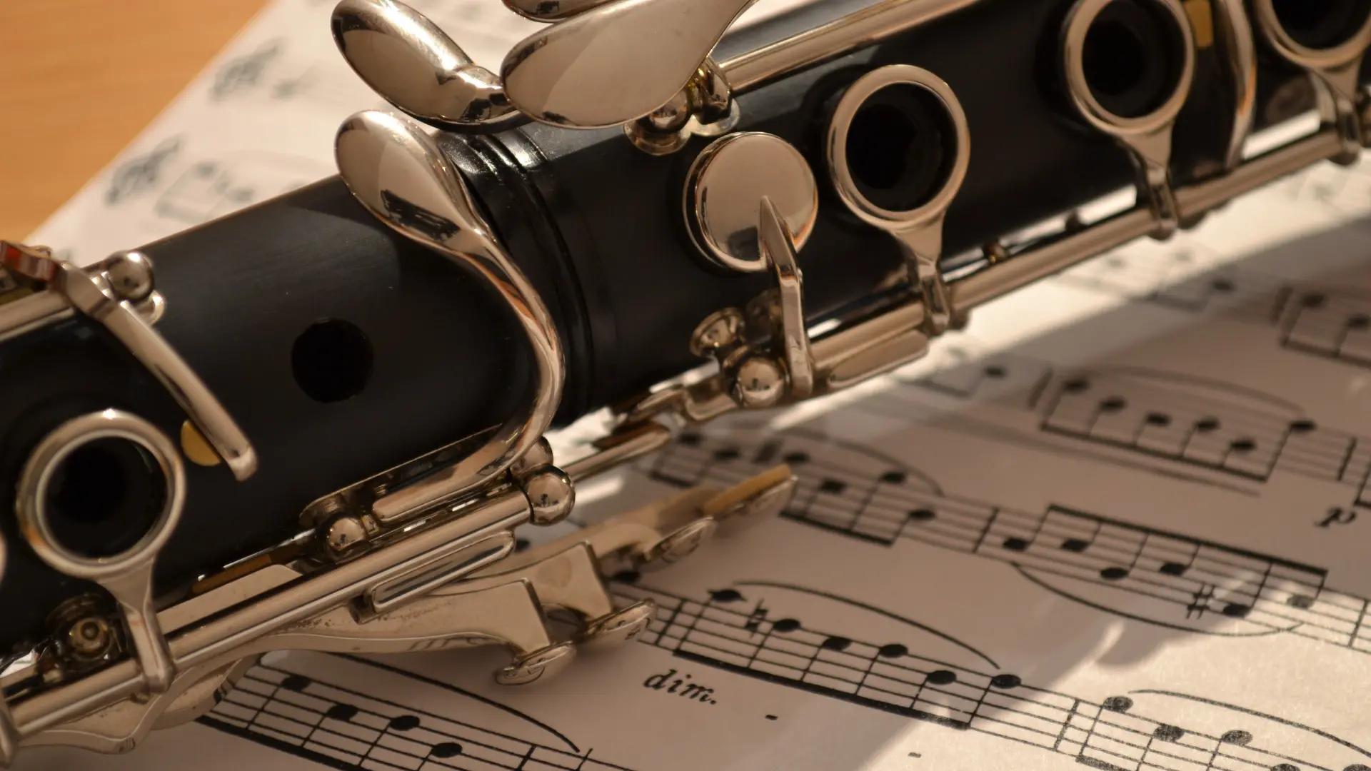 Vibo\u00A0celebra la Festa della musica, tre appuntamenti per vivere la città attraverso le note: il programma