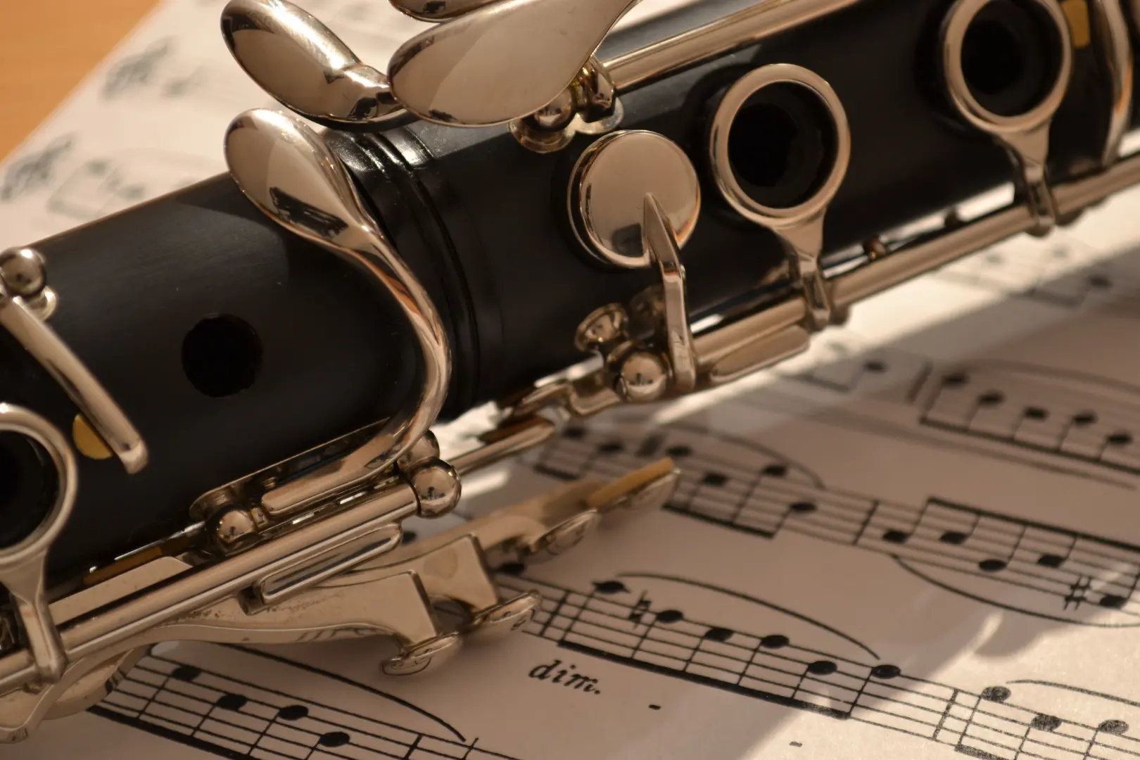 Vibo\u00A0celebra la Festa della musica, tre appuntamenti per vivere la città attraverso le note: il programma