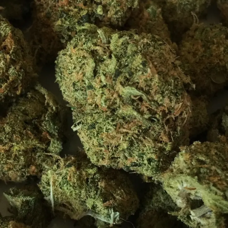 In casa con hashish, marijuana e denaro: un arresto a Cirò Marina\n
